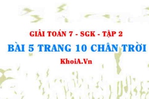 Bài 5 trang 10 Toán 7 Chân trời sáng tạo Tập 2